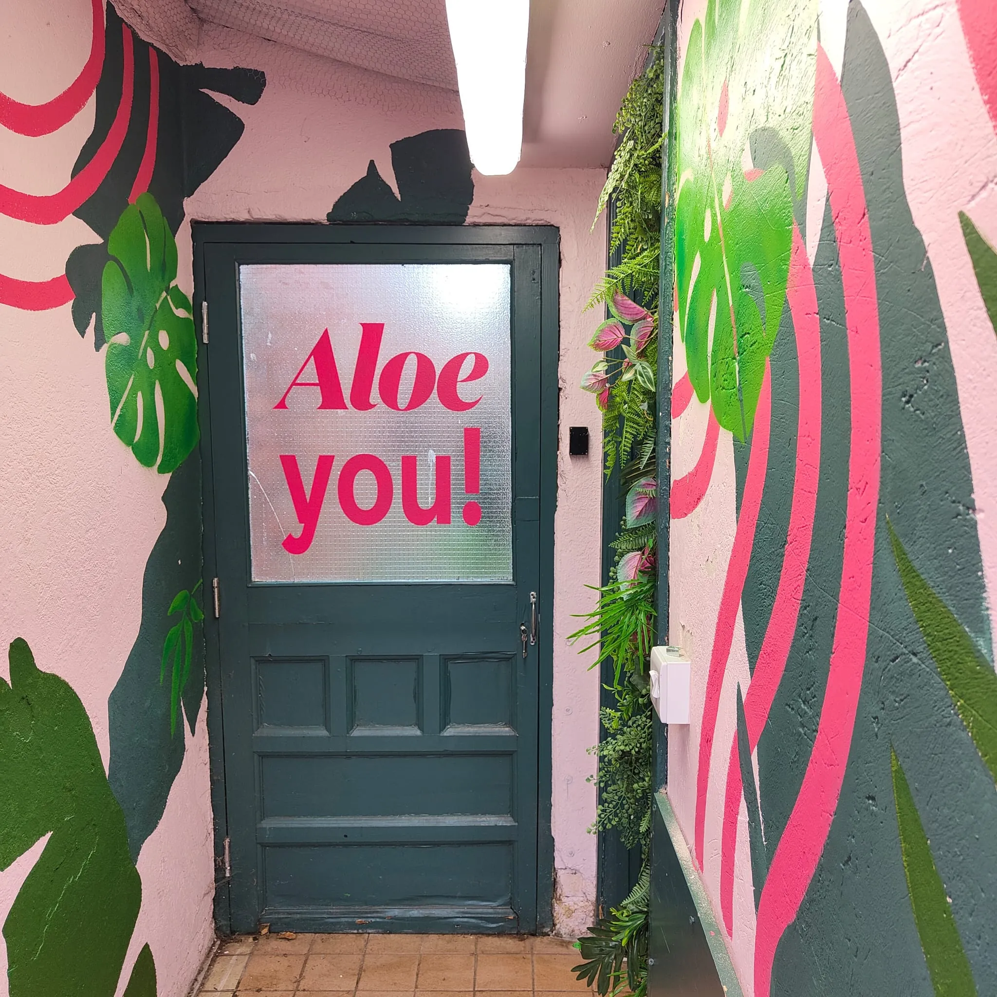 A pink alleyway painted with leaves and pink swirls around a green door lettered “Aloe you!”.