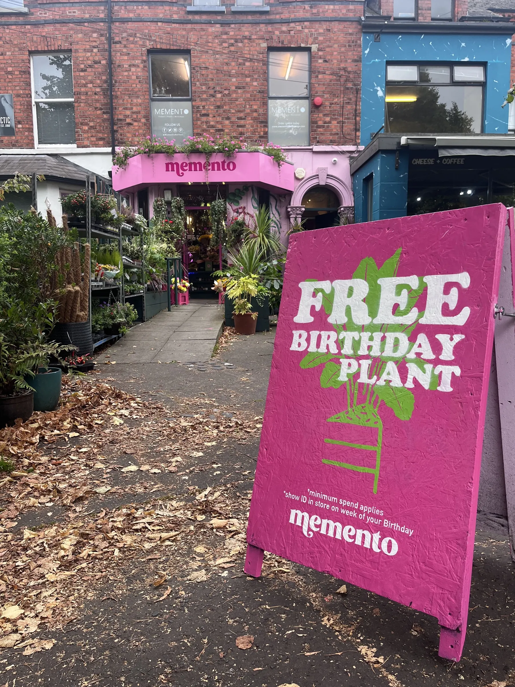 A pink Memento A-board on a leafy pavement, painted with “Free birthday plant”.