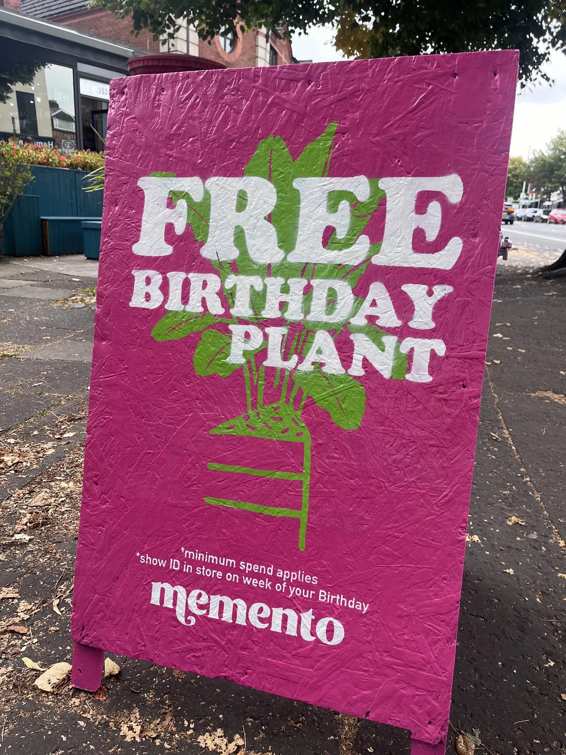 A close-up of Memento’s pink “Free birthday plant” A-board with a painted green plant.