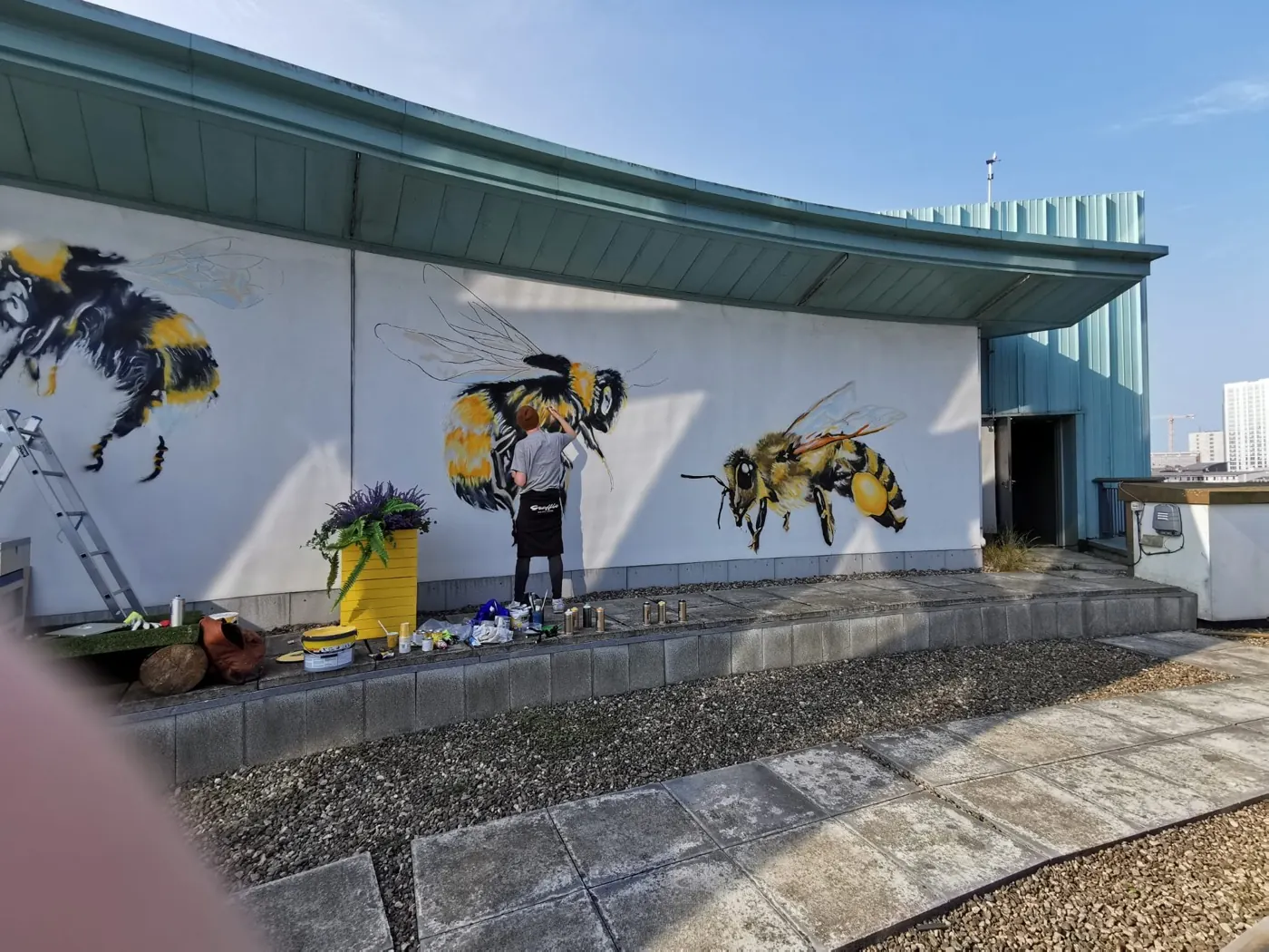 A painter at work between two finished bees on the white curved wall of the Victoria Square roof terrace.